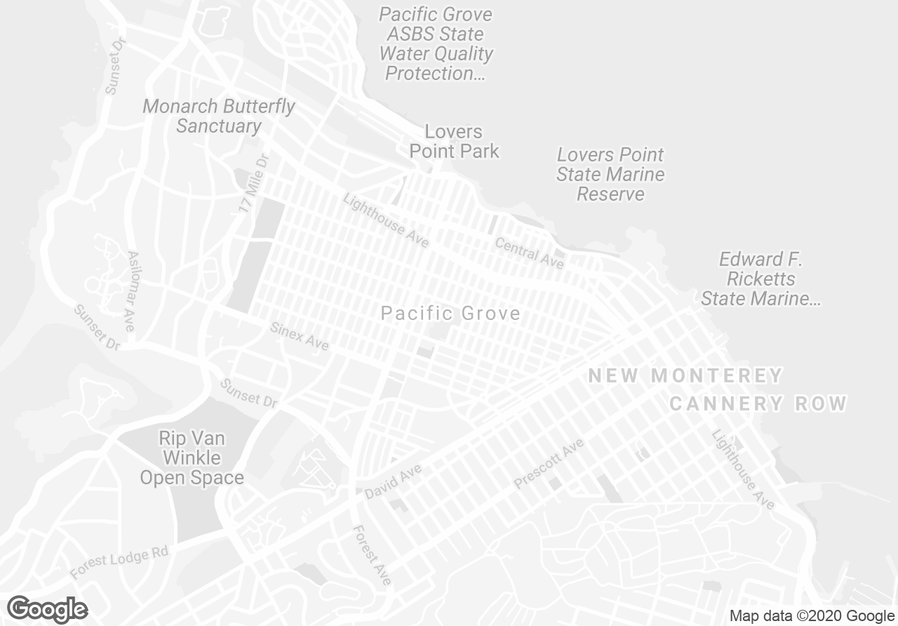 Pictures of Mixed Use, Retail, Industrial, Multifamily property located at 1157 Forest Avenue, Pacific Grove, CA 93950 for sales - image #1