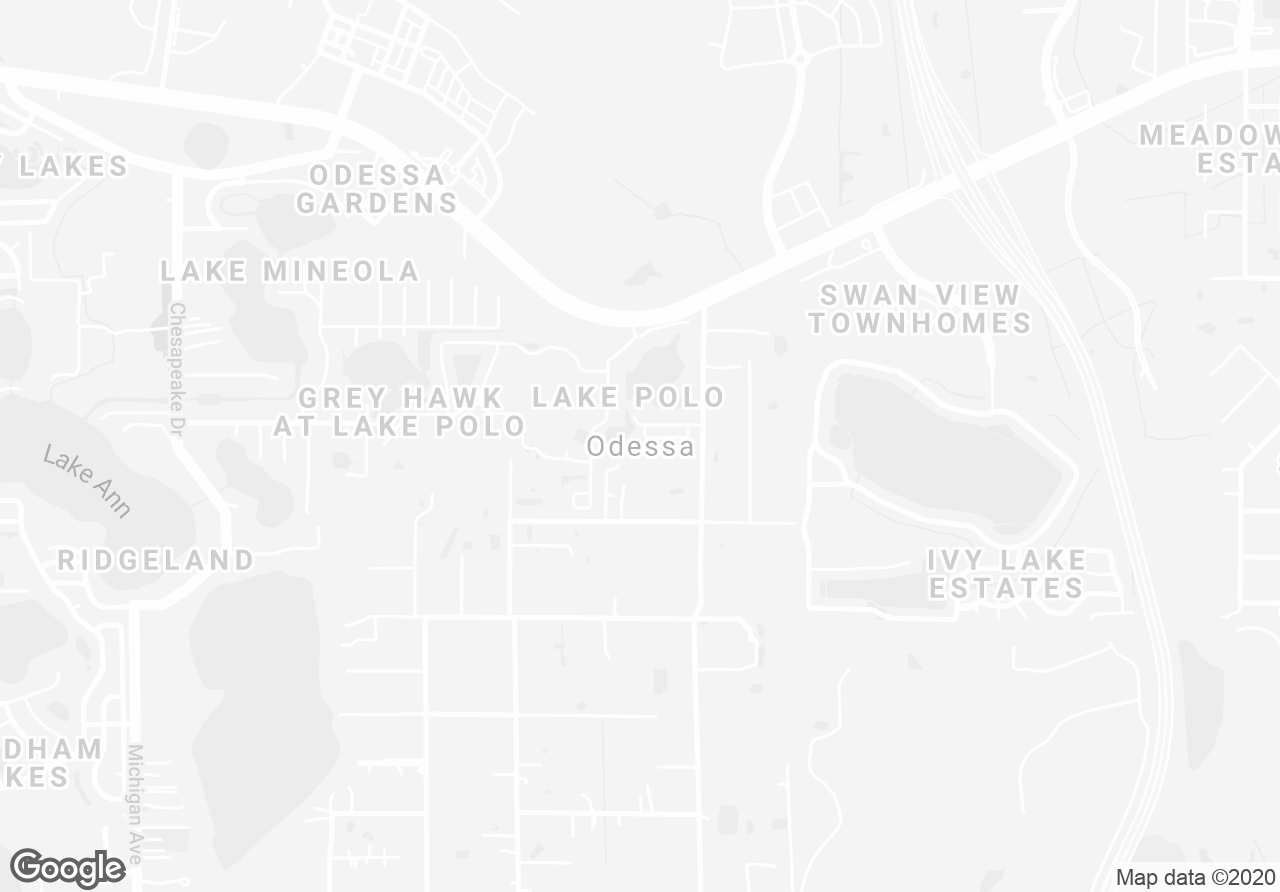 Pictures of Land property located at 14356 Black Lake Road, Odessa, FL 33556 for sales - image #1