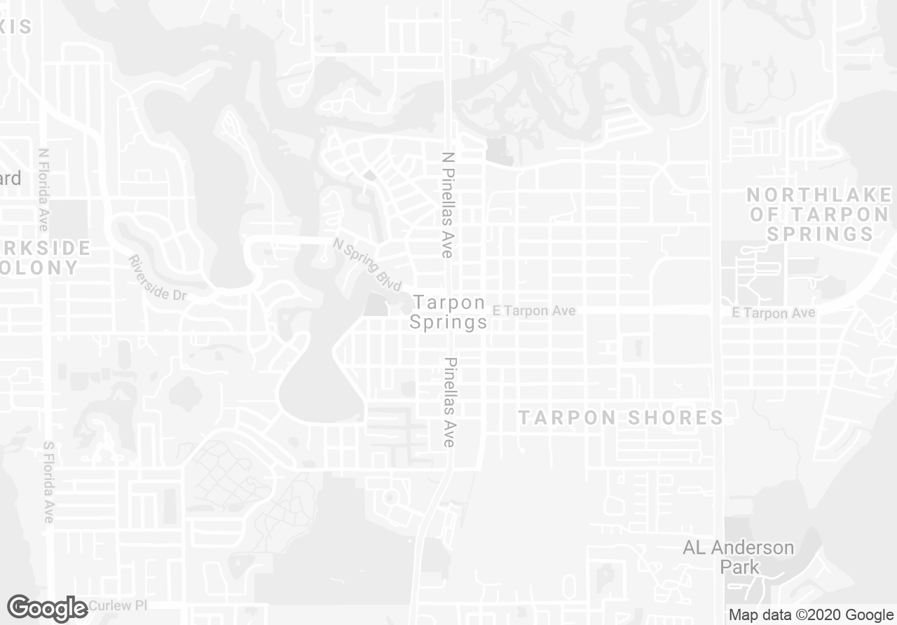 Pictures of Retail property located at 1941 South Pinellas Avenue, Tarpon Springs, FL 34689 for sales - image #1