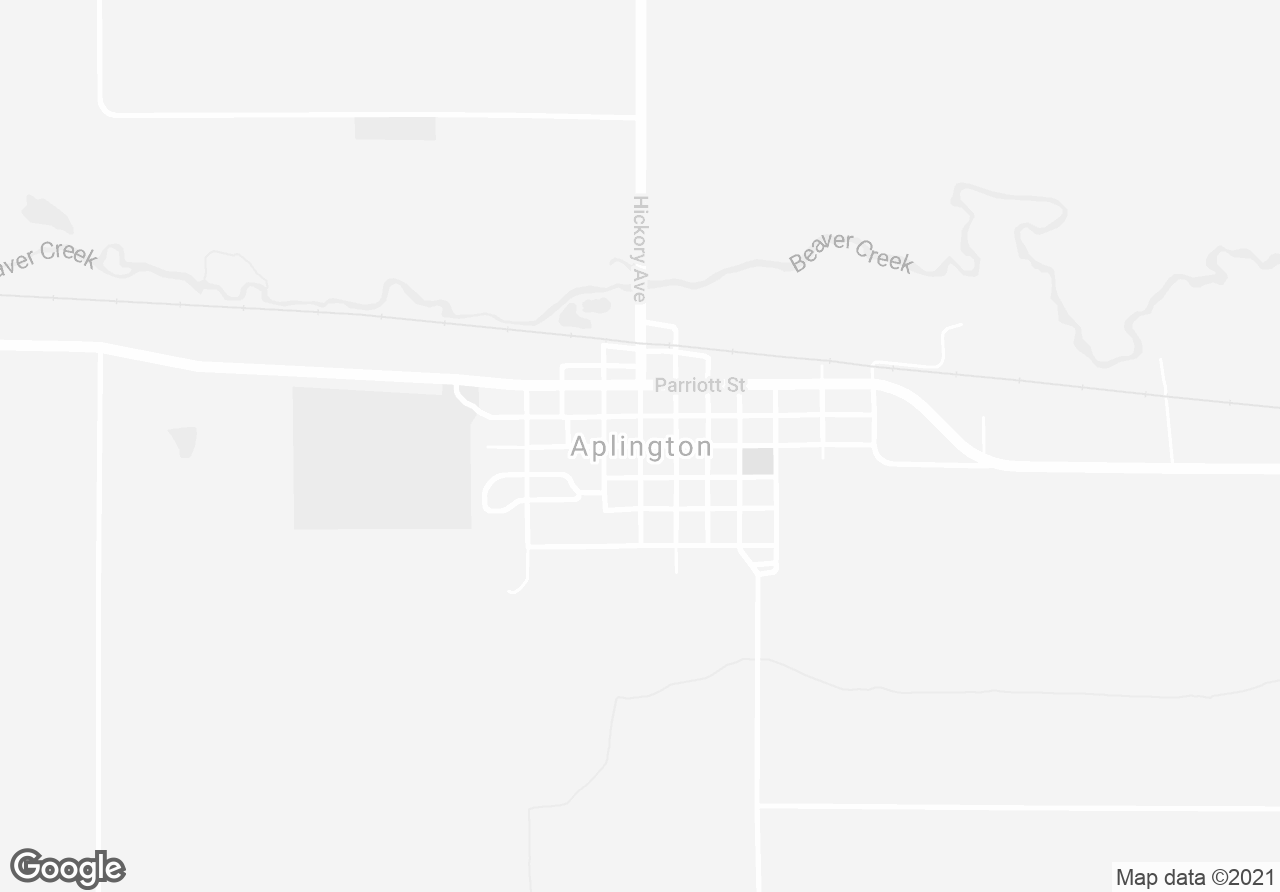 Pictures of Retail, Mixed Use, Business for Sale property located at 924 Parriott Street, Aplington, IA 50604, 920 Parriott Street, Aplington, IA 50604 for sales - image #1