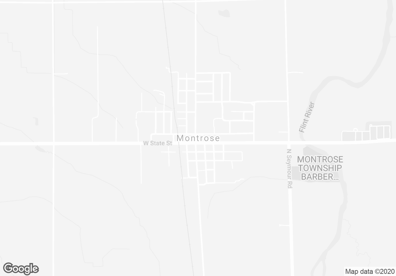 Pictures of Retail, Industrial property located at 124 W State St, Montrose, MI 48457 for sales - image #1
