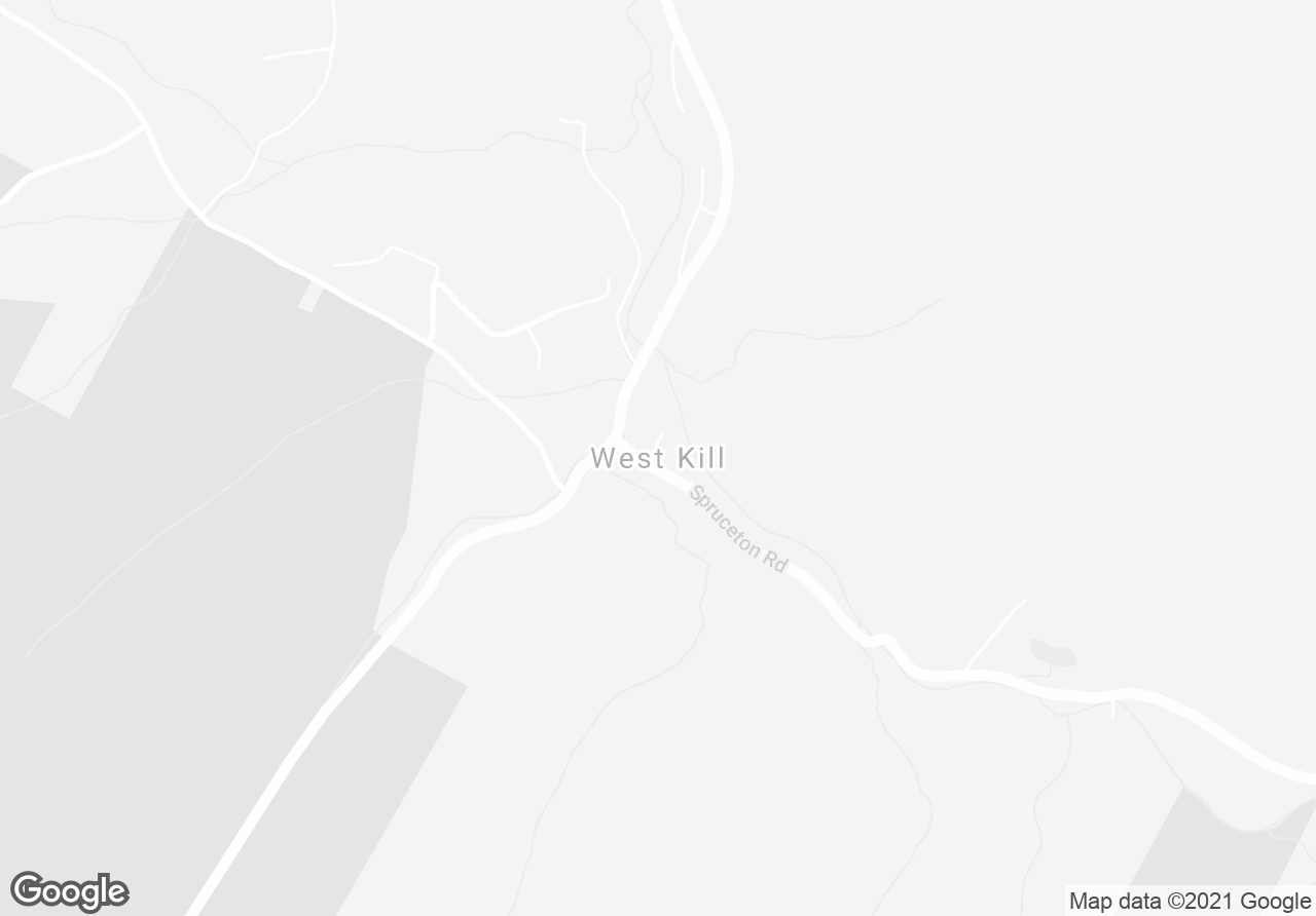 Pictures of Multifamily property located at 1747 Spruceton Road, West Kill, NY 12492 for sales - image #1